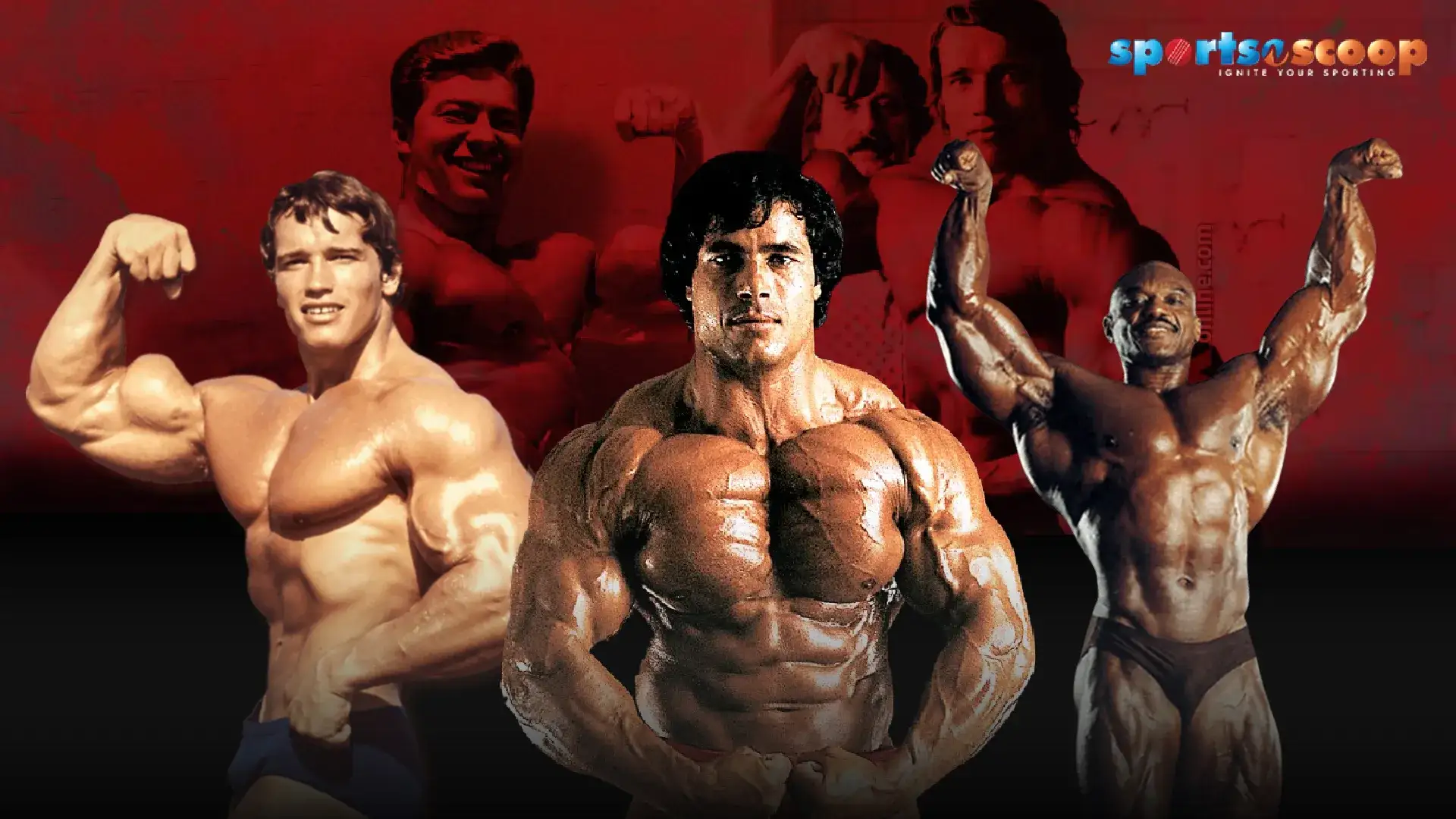 Mr Olympia Winners List: The Legends Of Bodybuilding