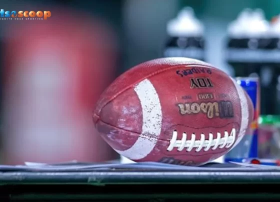 NFL Power Rankings What They Reveal About the 2025 Playoff Picture