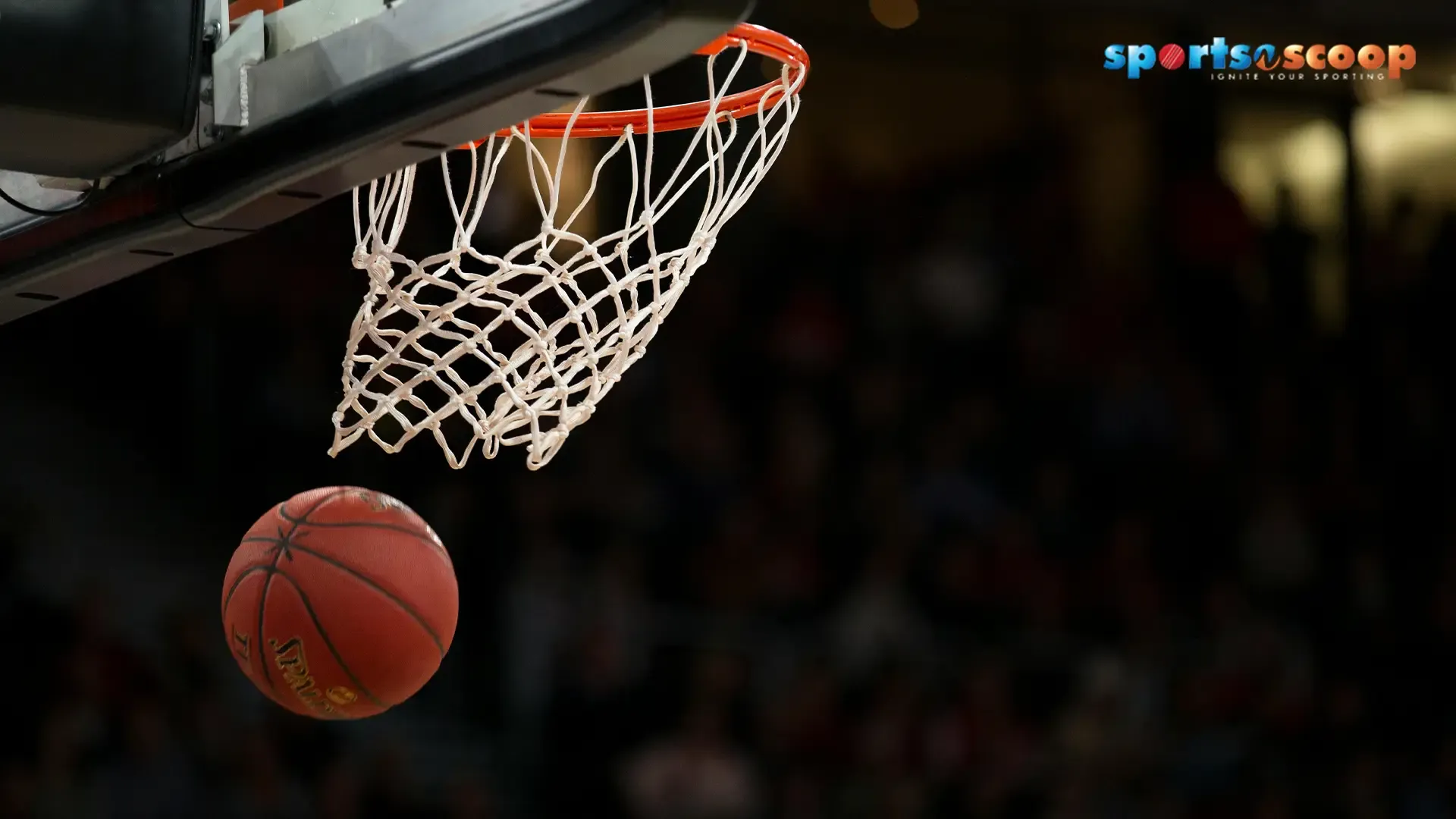 5 NBA Stars Defining the Path to the 2026 Finals