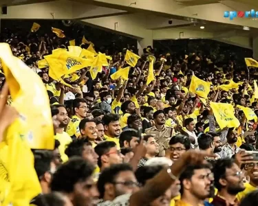 5 IPL Teams With the Most Fans! Did Your Fav Made the Cut?