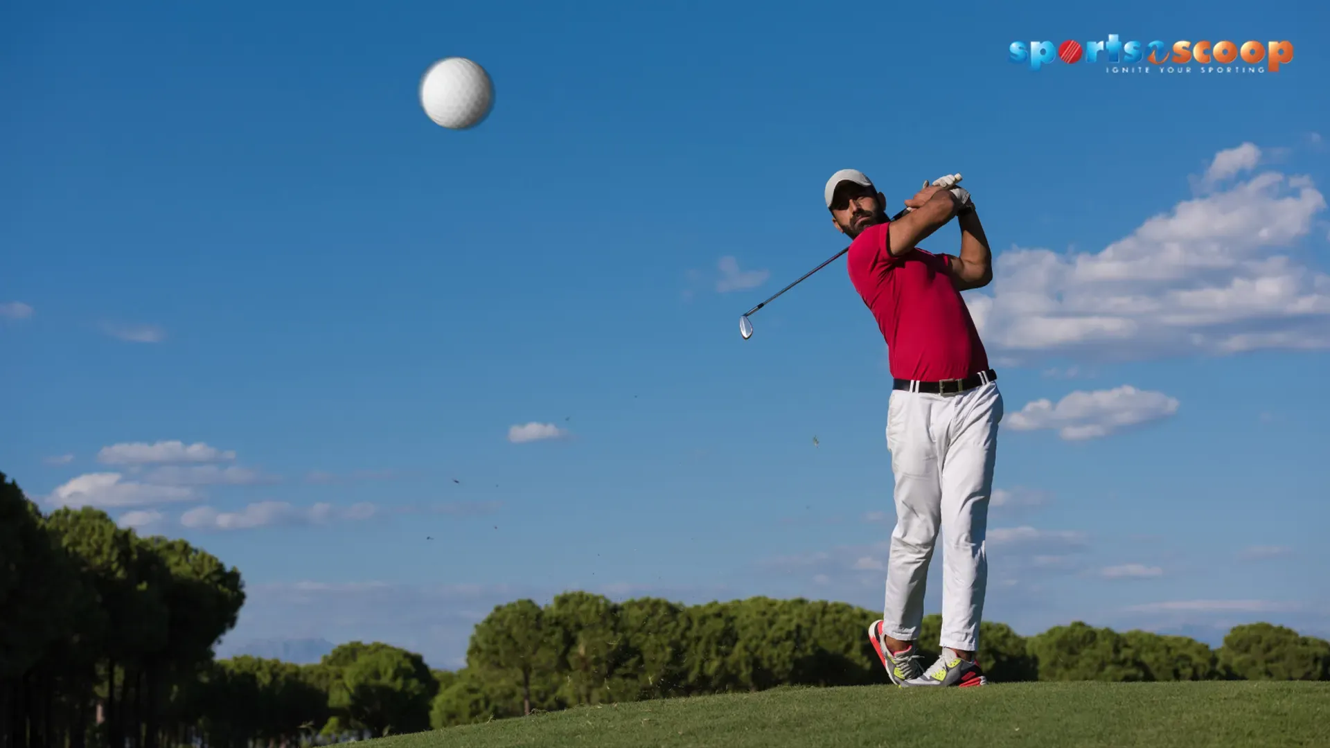 7 Best Golf Clubs for Beginners to Start the Right Game