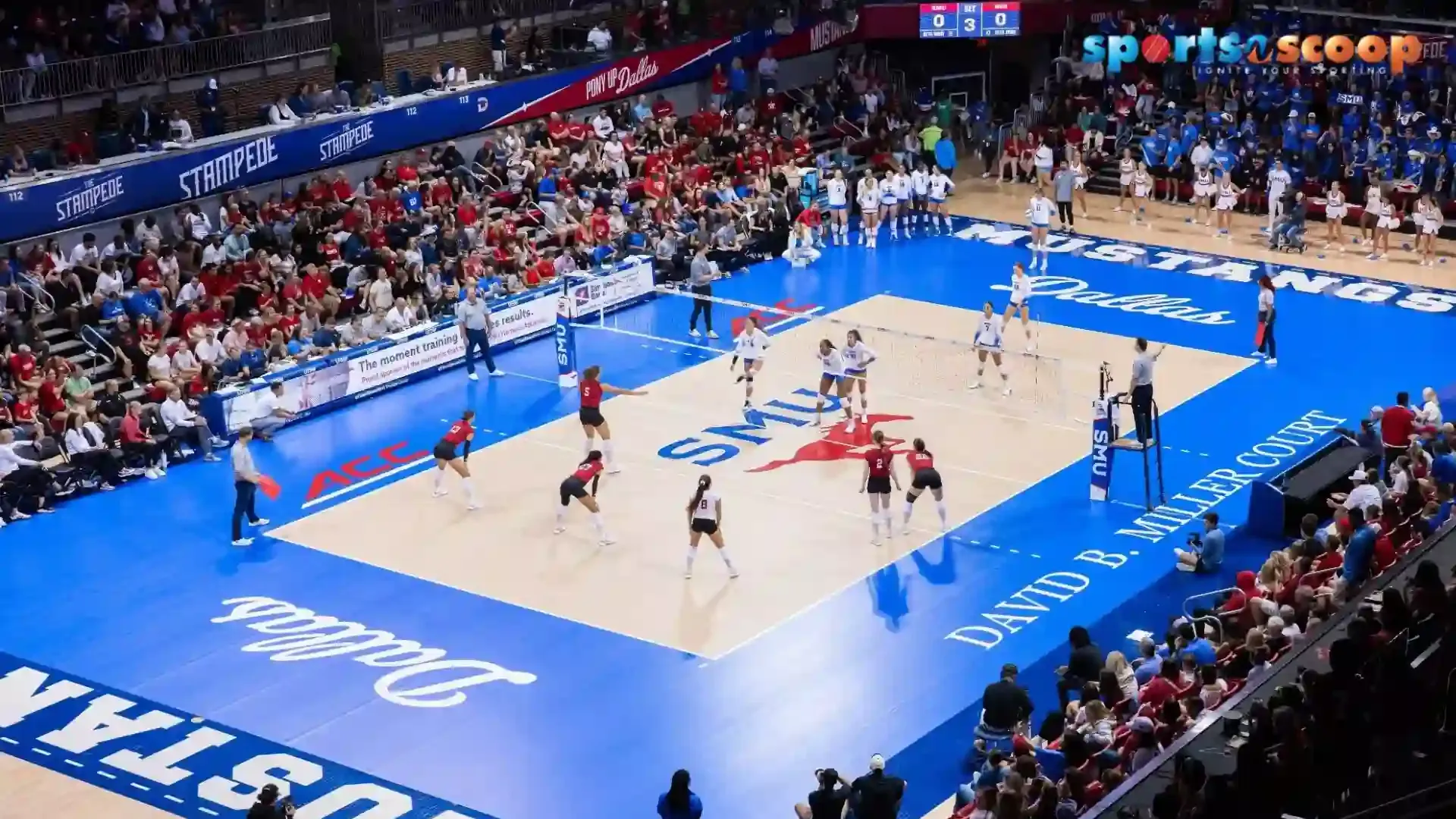 The Ultimate Guide to Volleyball Court Dimensions