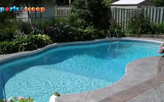 What Pool Size Do You Actually Need? Understand Here