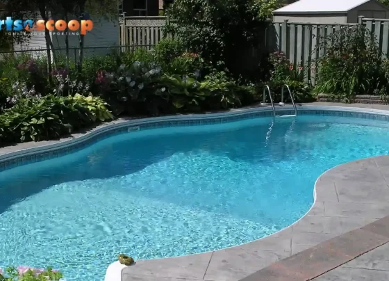 What Pool Size Do You Actually Need? Understand Here
