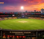 From Measurements to Memories: World’s Smallest Cricket Stadiums!