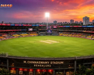 From Measurements to Memories: World’s Smallest Cricket Stadiums!