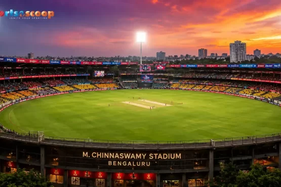 From Measurements to Memories: World’s Smallest Cricket Stadiums!