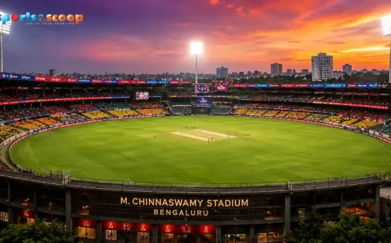 From Measurements to Memories: World’s Smallest Cricket Stadiums!