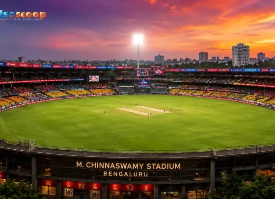 From Measurements to Memories: World’s Smallest Cricket Stadiums!